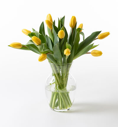 Gul tulipanbukett liten